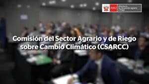 Comisión CSARCC MIDAGRI Perú