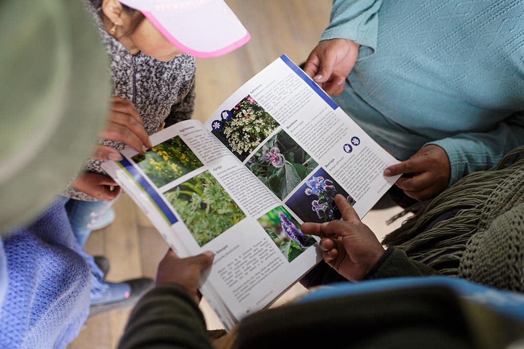 16 Cobertura Cotopaxi_010825