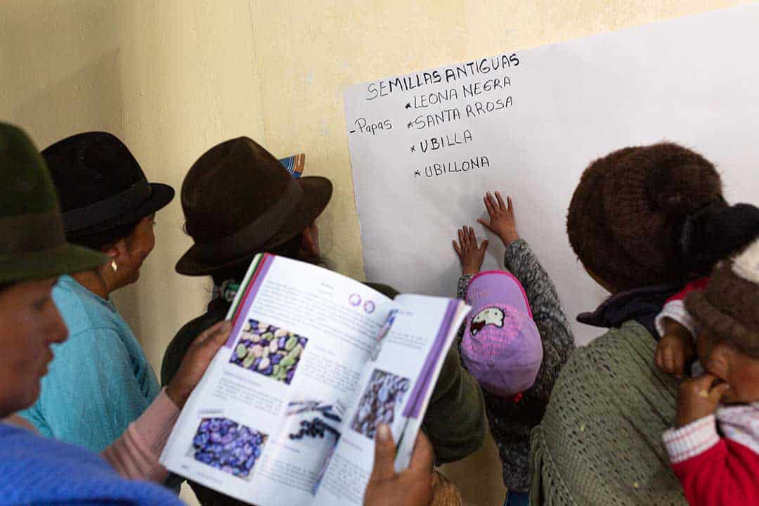 18 Cobertura Cotopaxi_010825