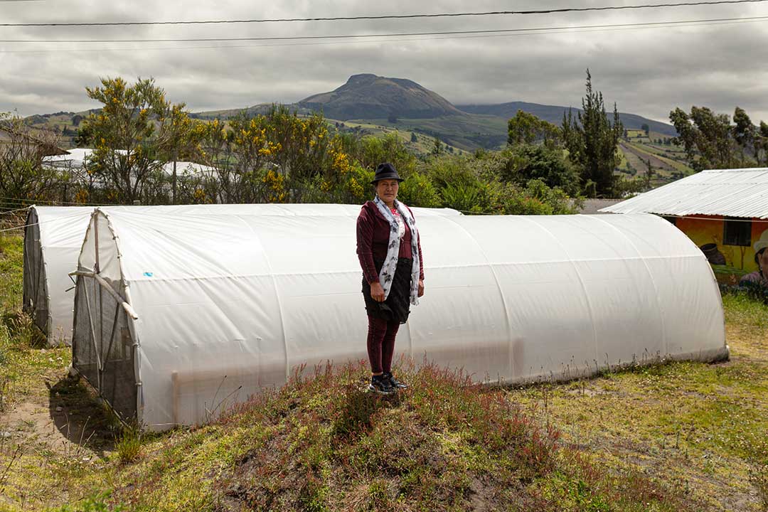 19 Cobertura Cotopaxi_010825