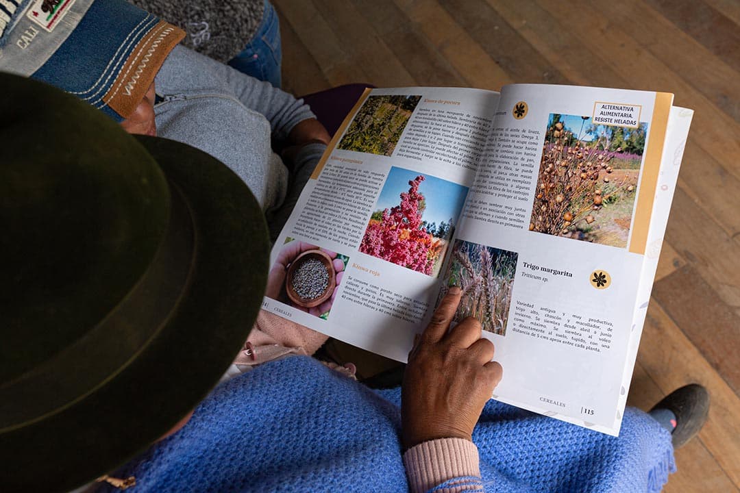 3 Cobertura Cotopaxi_310725