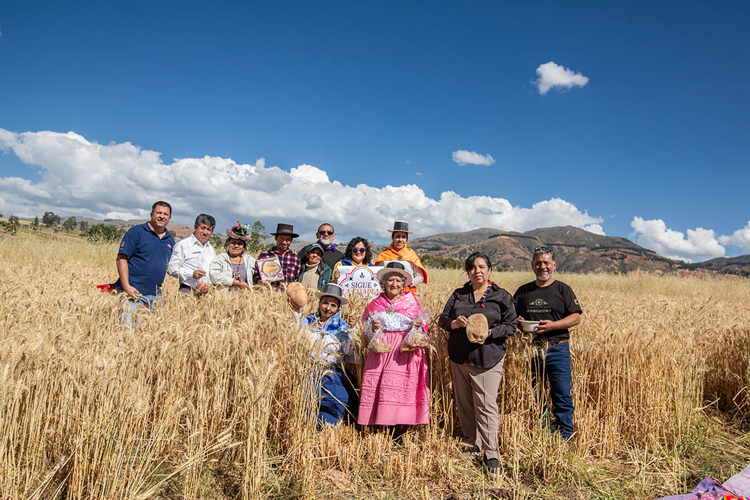 Peru18062026 f3