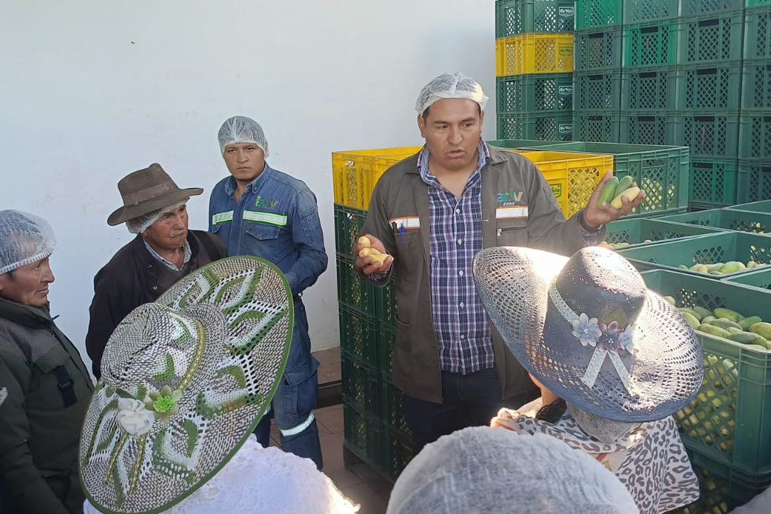 delvalle f3
